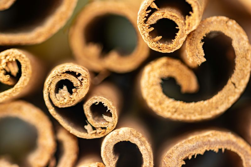 Sticks of cinnamon, curled up bark