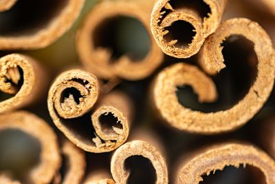 Sticks of cinnamon, curled up bark