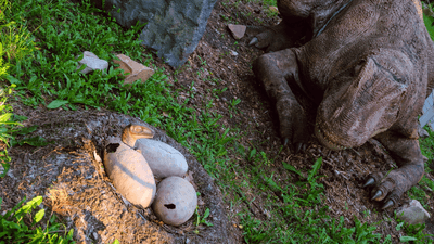 a dinosaur parent guards its eggs