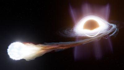 artist impression fo a black hole surrounded by glowing plasma as it pull a large star apart.