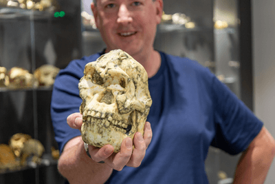 Meet the new human ancestor - Little Foot did not belong to any known hominin species.
