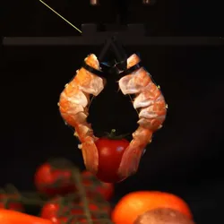 iflscience.com - Tom Hale - Watch Left-Over Seafood Turn Into A Surprisingly Nimble Robot