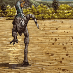 theropod dinosaur running across mud