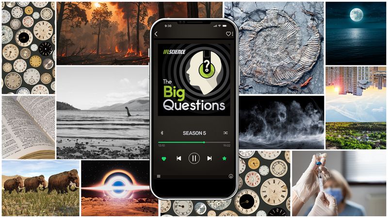 IFLScience The Big Questions Season 5 plays on a smartphone