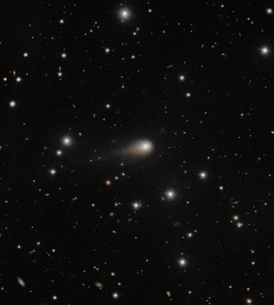 The photo shows the comet and its tail in front of many background stars