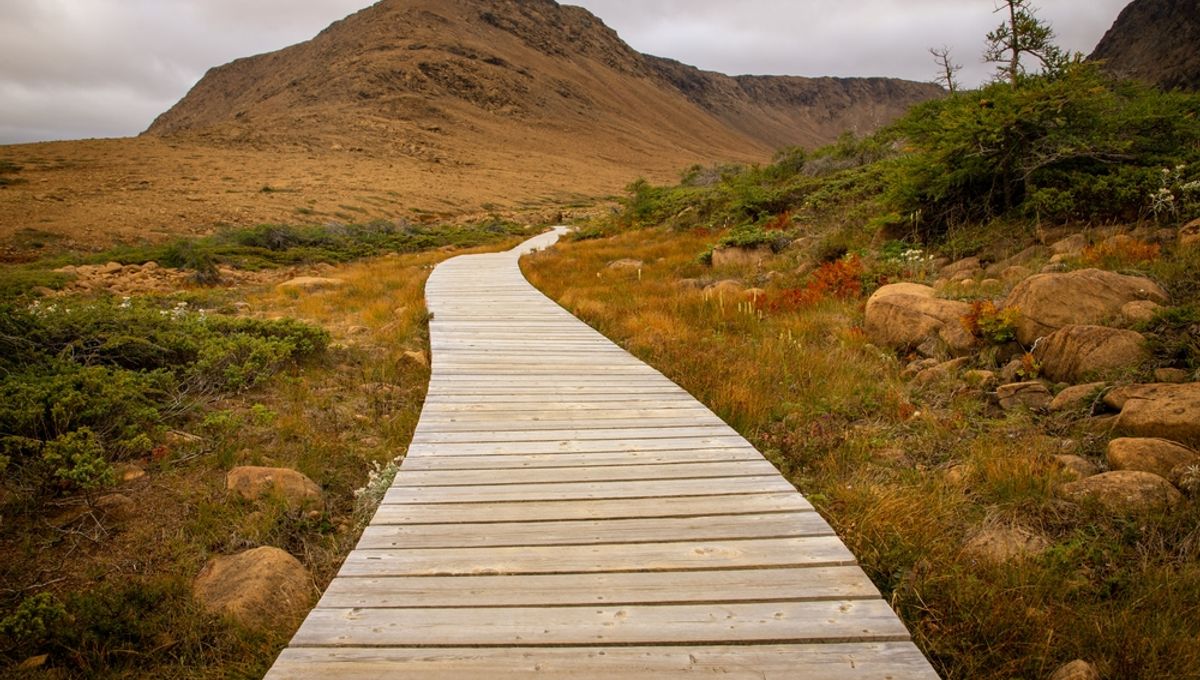 Are There Any Places On Earth Where You Can Walk Directly On The Mantle?  IFLScience