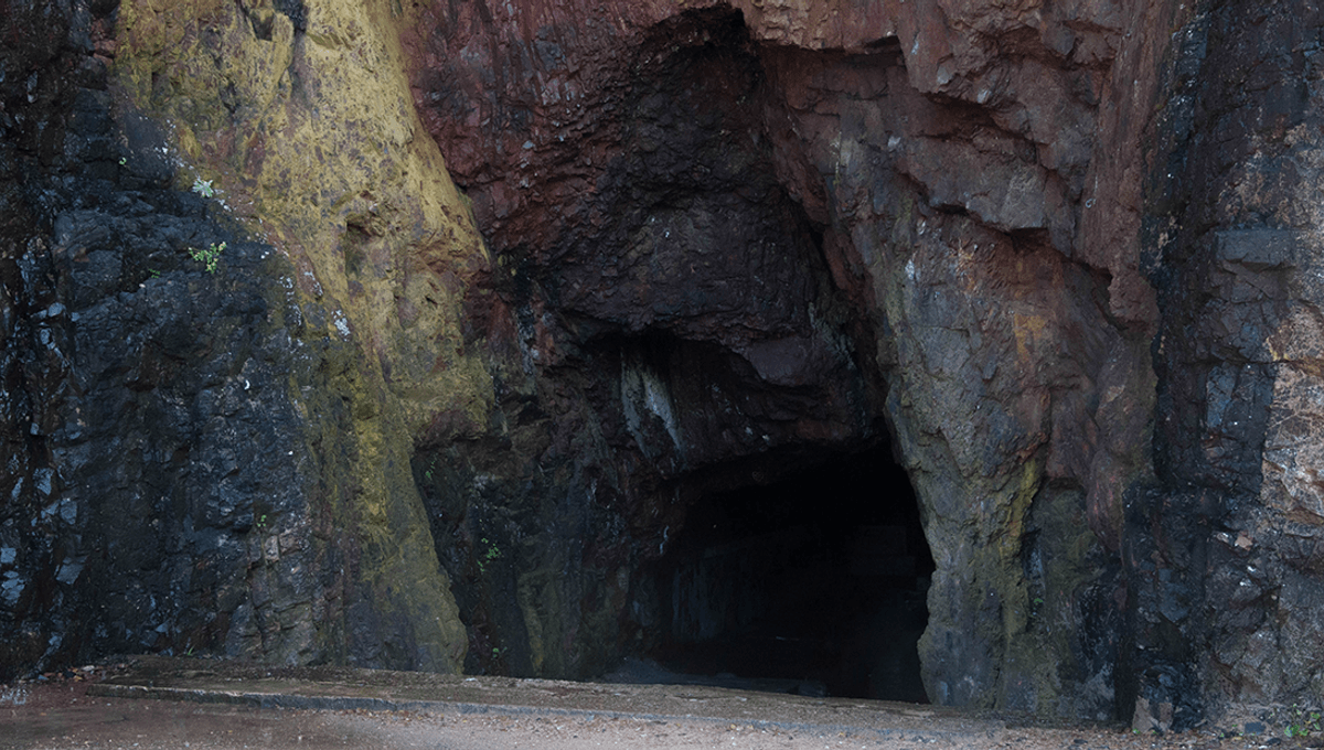 In 1940, A Dog Investigated A Hole In A Tree And Discovered A Vast Cave Filled With Ancient Human Artwork IFLScience