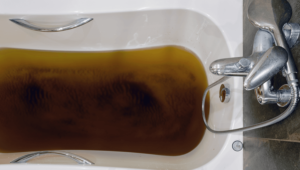 Is Showering More Hygienic Than Bathing – What Does The Science Say?