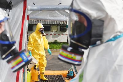 Bird flu spill over to humans. 