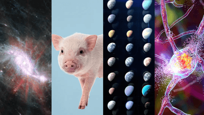 Some of the biggest scientific discoveries of 2025.