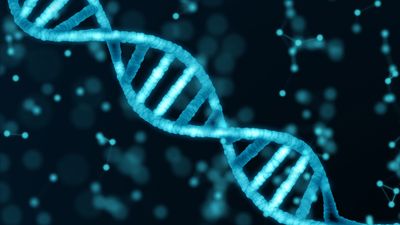 DNA in three dimensions.
