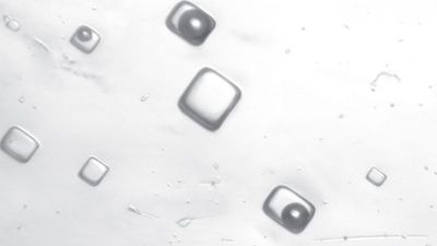 Microscopic image of fluid inclusions in 1.4-billion-year-old halite crystals, which preserve ancient air and brine.