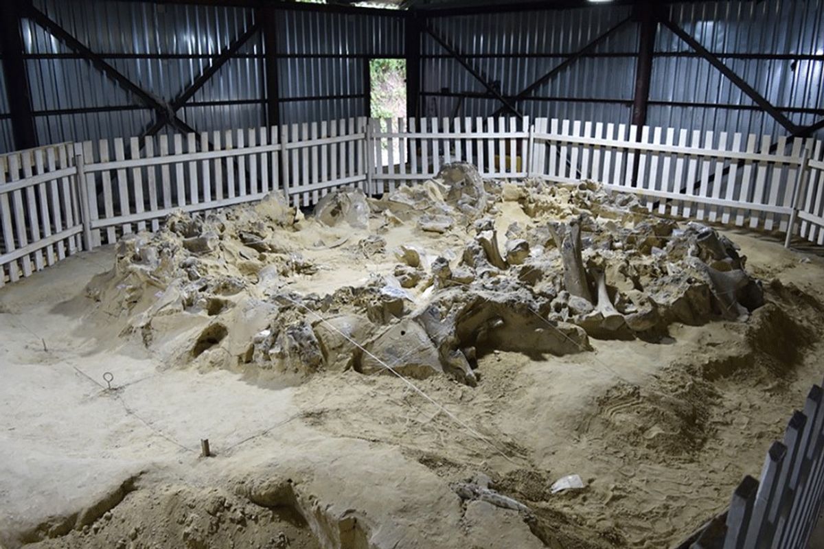 At The Peak Of The Ice Age, Humans Built Survival Shelters Out Of Mammoth Bones