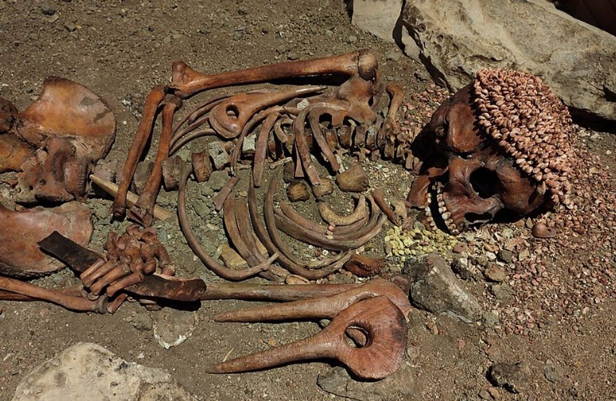 Horrifically Disfigured Skeleton Known As “The Prince” Was Likely Mauled To Death By A Bear 27,000 Years Ago