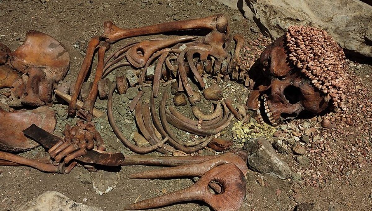 27,000-Year-Old Skeleton Known As The "Prince" Belongs To Teenage Boy Likely Mauled To Death By A Bear IFLScience