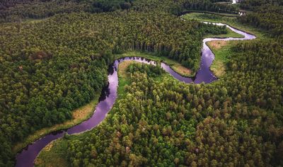Amazon river