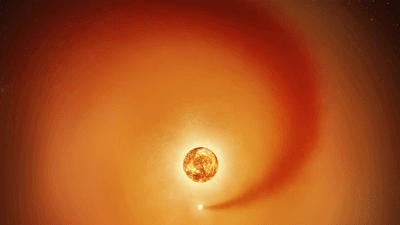 Betelgeuse and companion star Siwarha (artist concept).