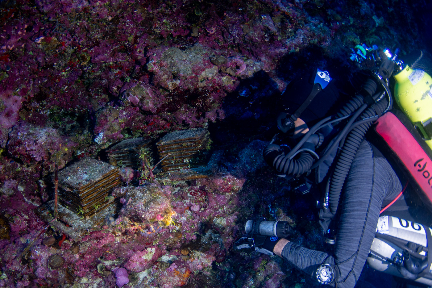 diver collecting artificial reef-like structures from a coral reef