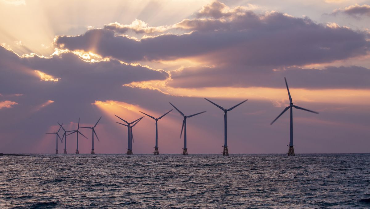 Trump Administration Immediately Stops Construction Of Offshore Wind Farms, Citing National Security Risks