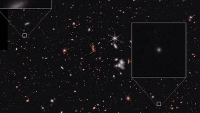 Platypus galaxies identified in JWST data.