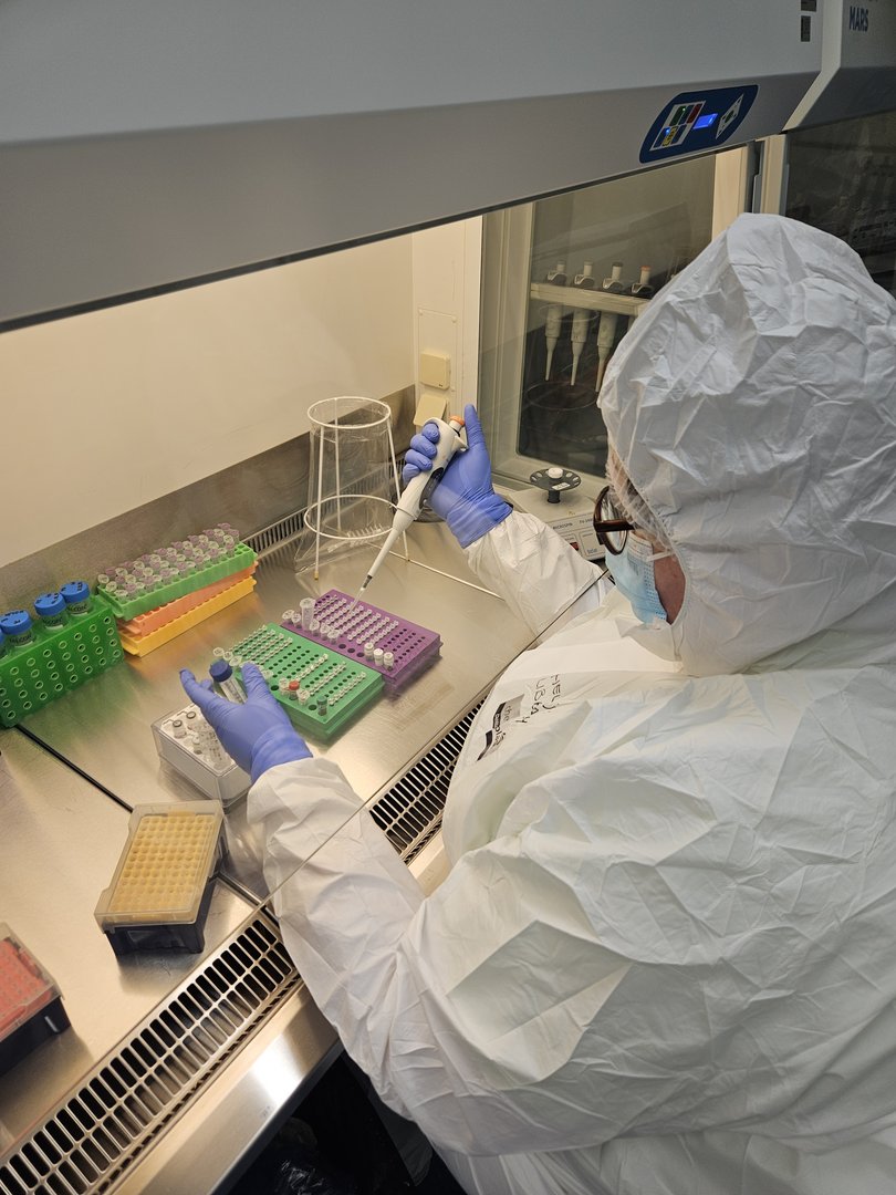 A scientists at the University of Tartu extracts tiny amounts of DNA from centuries-old skeletons.