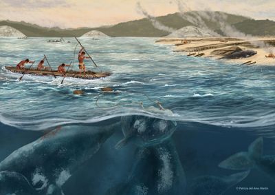 Illustration of Indigenous communities in southern Brazil hunting large cetaceans 5,000 years ago.