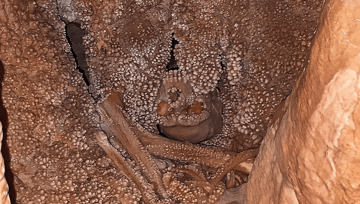 The Ancient Neanderthal "Altamura Man" Suffered An Unfortunate Death And Became Embedded In A Cave Wall