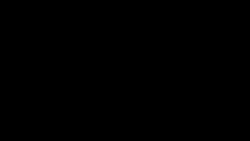 Gif of a rescue worker spraying flying fox bats with a fine mist of water to cool them down on blackened and burnt trees