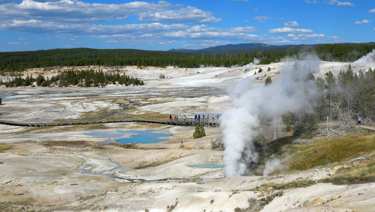 The Norris Uplift Anomaly