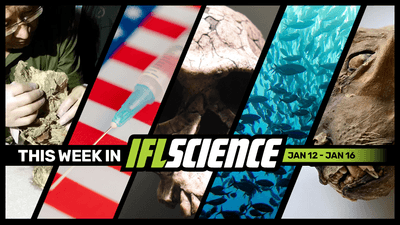 All the biggest news stories of the week in a banner with the date across.