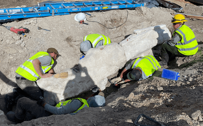 Monument staff work on excavated dinosaur fossils in the Quarry Exhibit Hall Parking Lot.