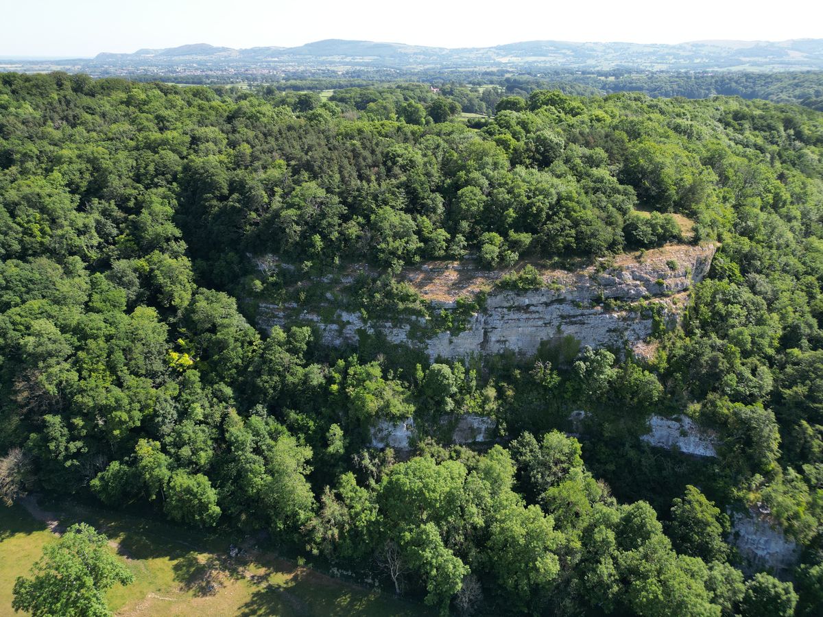 Neanderthals, Megafauna, And Tales Of Odd Monsters In The Elwy Valley Caves