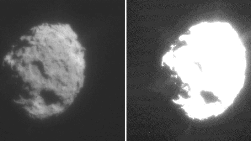 Images of Comet Wild 2, Stardust's primary target.