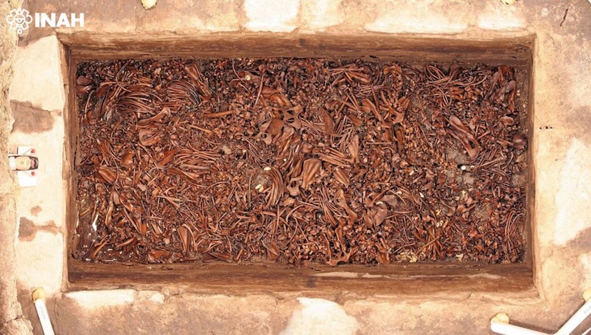 Aztec King Moctezuma Had His Own Zoo, But The Animals Weren’t Just For ...