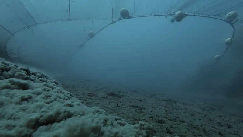 bottom trawler dragging along the seafloor