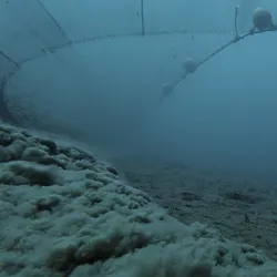 bottom trawler dragging along the seafloor