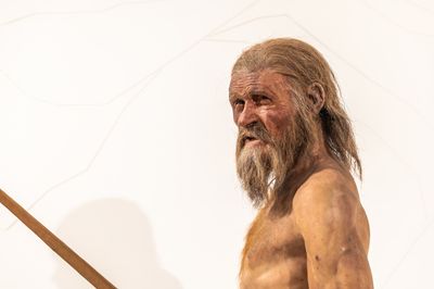 Otzi the iceman, frozen preserved mummy found in the aLps