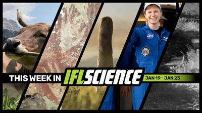 All the biggest science news stories of the week.