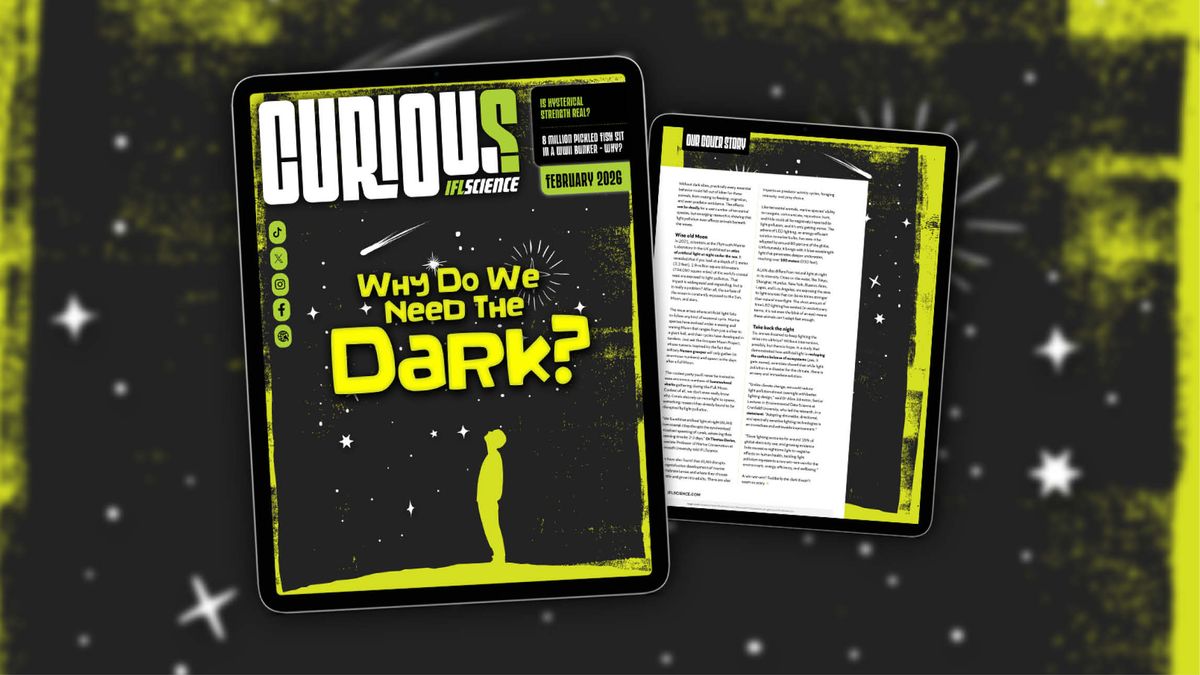 Why Do We Need The Dark? Find Out More In Issue 43 Of CURIOUS – Out Now