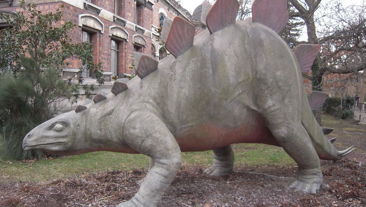 This May Be The Largest Stegosaurid Ever Found – And It's Far Bigger Than We Thought Possible - IFLScience image