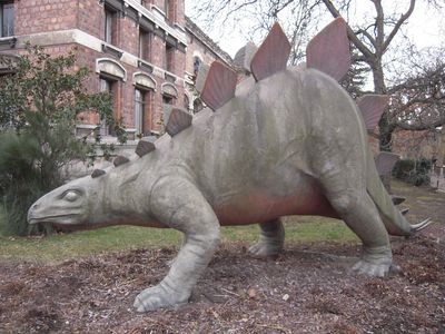 People love stegosuarids so much we put up statues of them, but we may love them even more now we know their biggest were even larger than we thought.