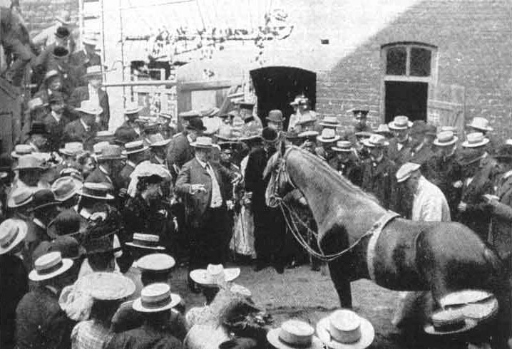 Clever hans, the horse, surrounded by a crowd in the early 1990s