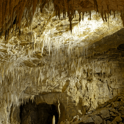 Waitomo Caves in new zealeand with stalagmites.
