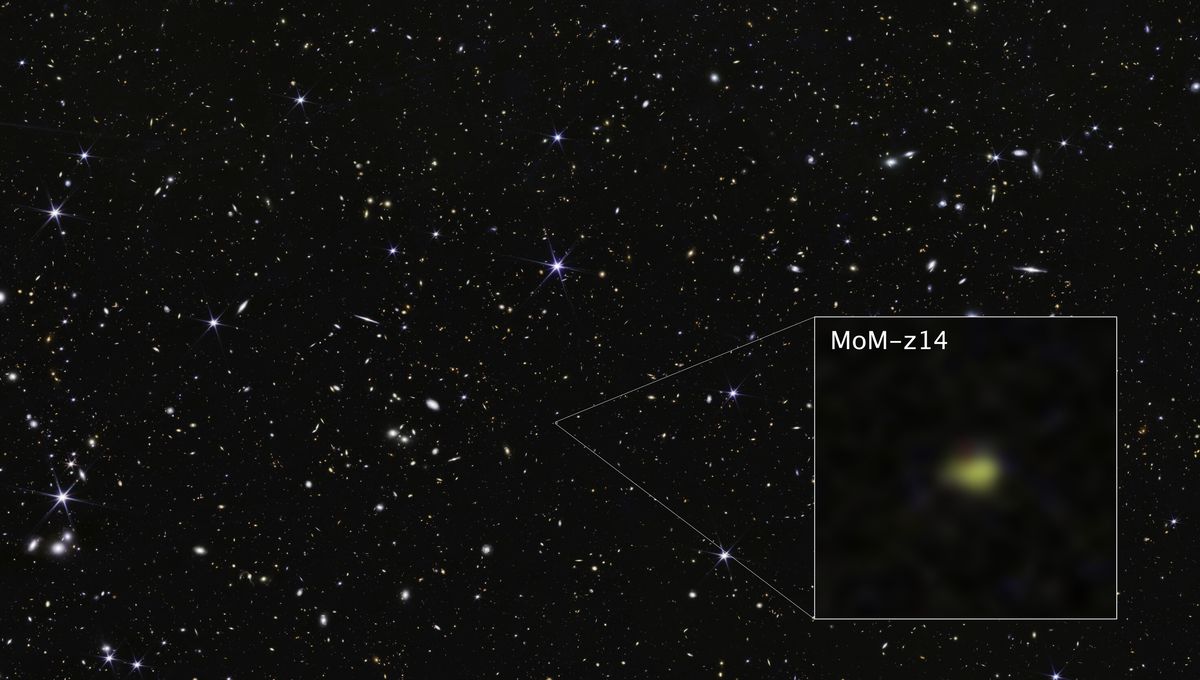 mom-z14-most-distant-galaxy-