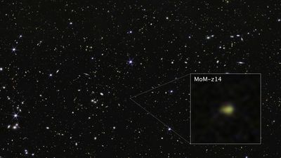 A wide field of view showing deep space, dotted with many small galaxies and a few foreground stars that display six diffraction spikes. One galaxy is highlighted with a magnified image in a graphic pull-out box in the lower right corner. The galaxy is labeled MoM-z14 and appears as a blurry yellow blob with a small red area at its top.