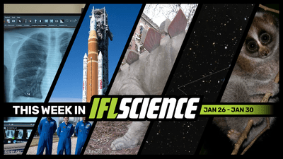 All the biggest science news stories of the week.