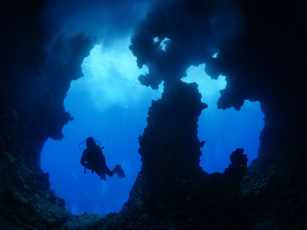 “Underview Effect”: Divers Living Underwater Experience A Similar Sense Of Awe To Astronauts Viewing Earth From Space