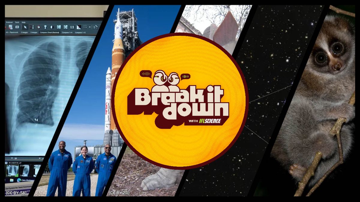 Deep-Space Toilet, Mega-Stegosaurus, And The Only Venomous Primate