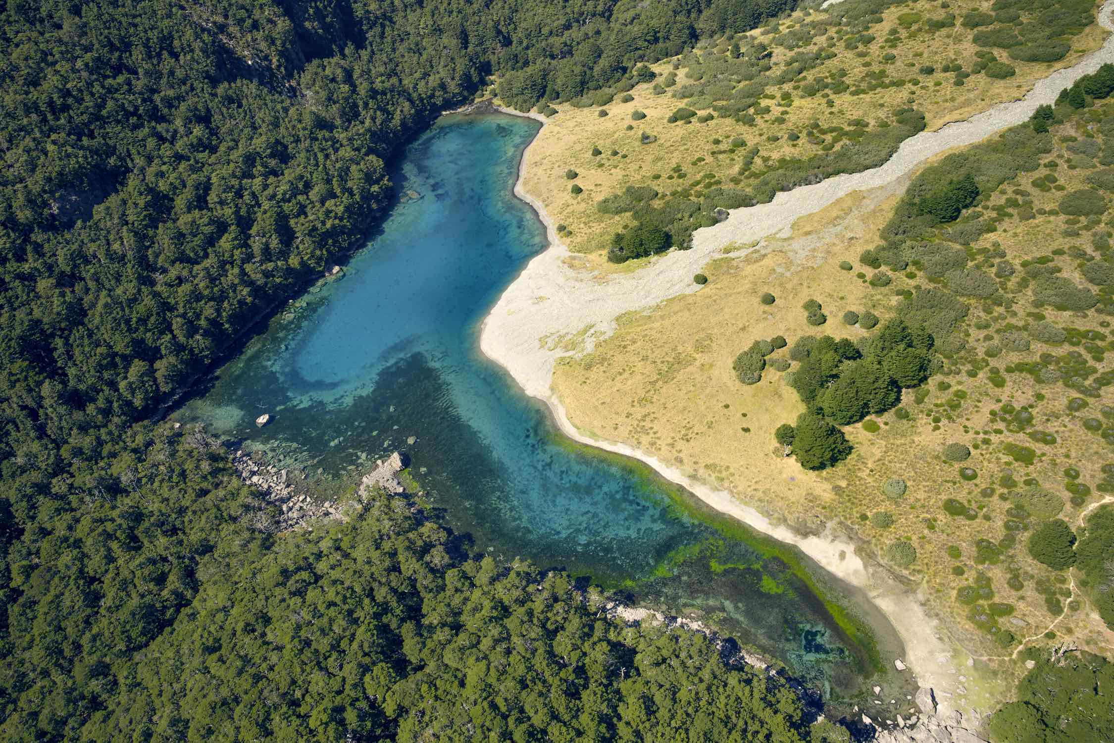 Rotomairewhenua / Blue Lake in in Nelson Lakes National Park among New Zealand's Southern Alps. 