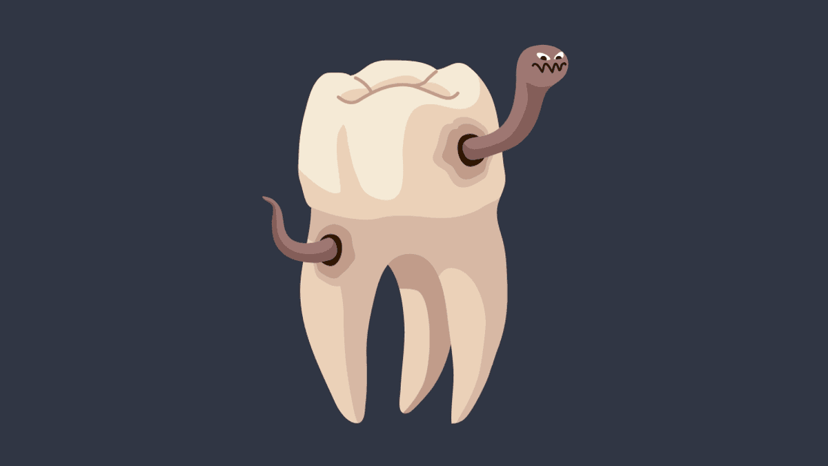 The Legend Of The Tooth Worm: People Used To Have A Really Weird Explanation For Toothache